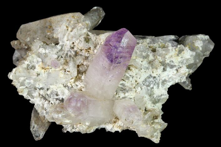 Amethyst Crystal Cluster - Las Vigas, Mexico #136989